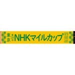 ��31��NHK�ޥ��륫�åץޥե顼������