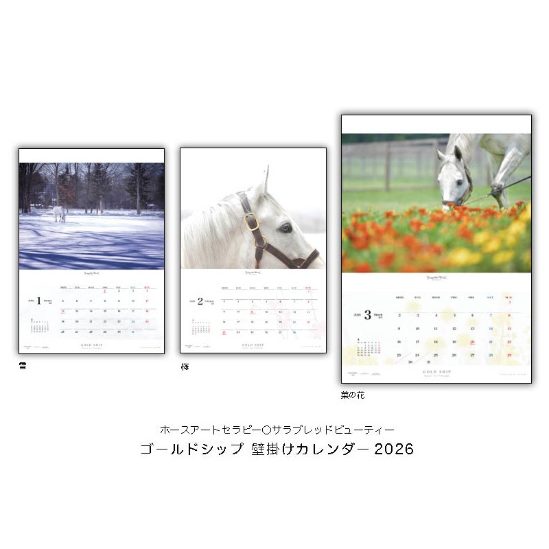 2026年ゴールドシップ壁掛けカレンダー | カテゴリー一覧,2026年