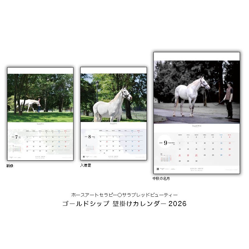 2026年ゴールドシップ壁掛けカレンダー | カテゴリー一覧,2026年