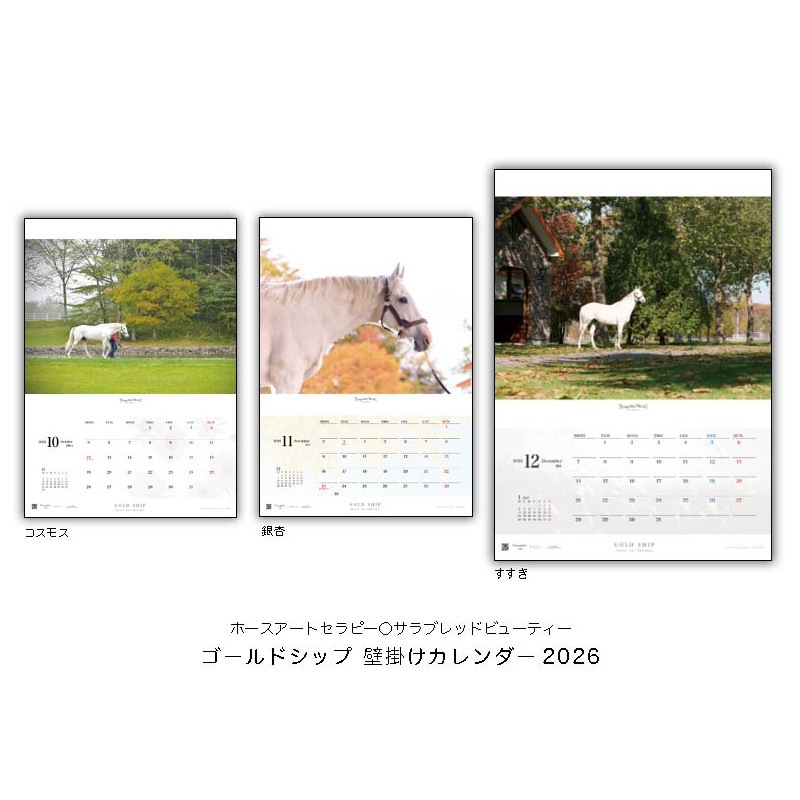 2026ǯ������ɥ��å��ɳݤ���������