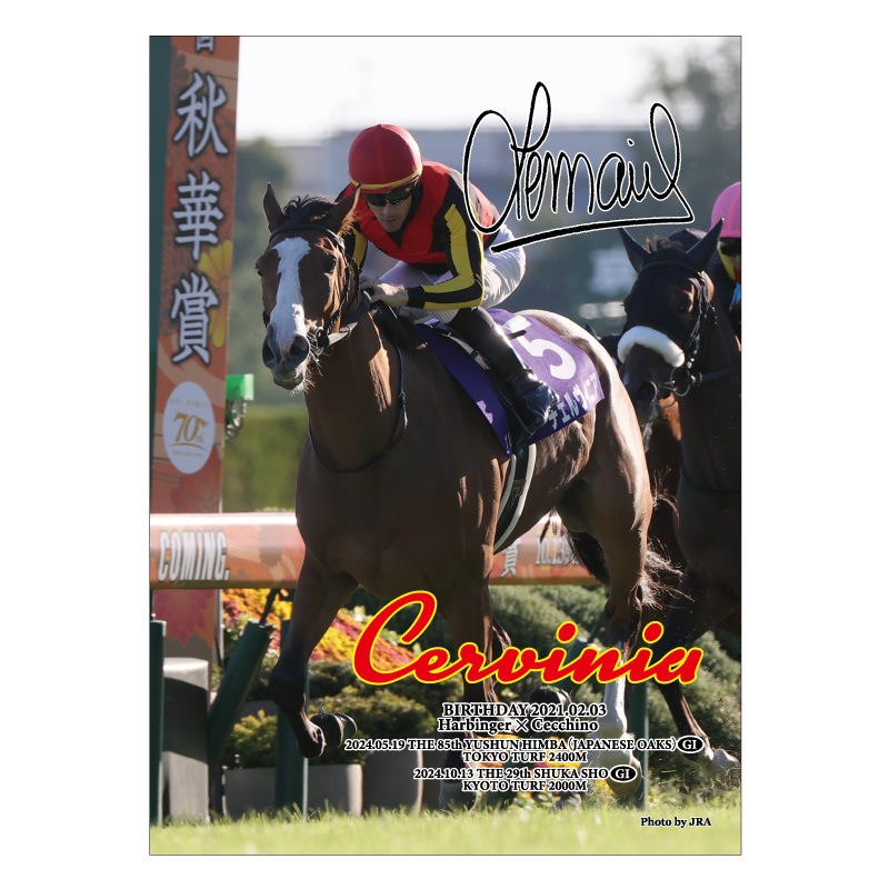 ホースジグソーパズル【チェルヴィニア】 | カテゴリー一覧,雑貨