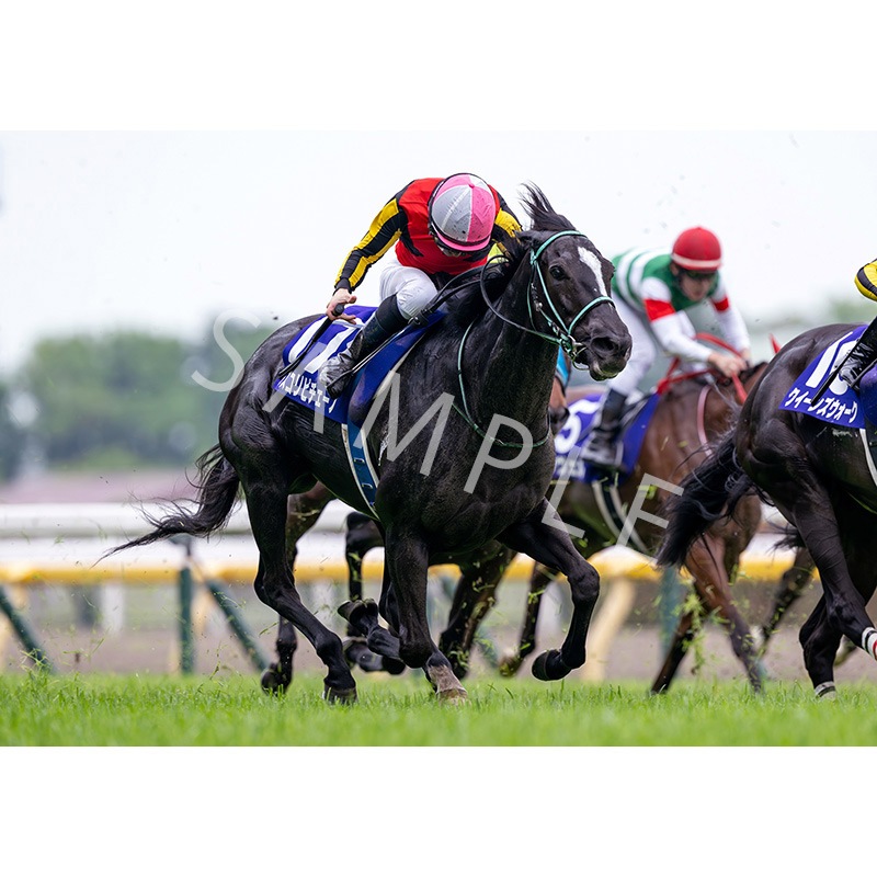 ǥѥͥ2025ȾGI ȥꥢޥڥԥΡ