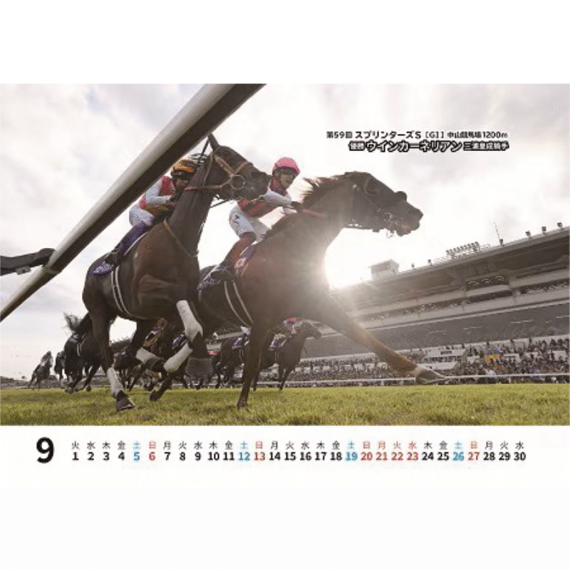 Gallop卓上カレンダー2026 | カテゴリー一覧,2026年カレンダー他