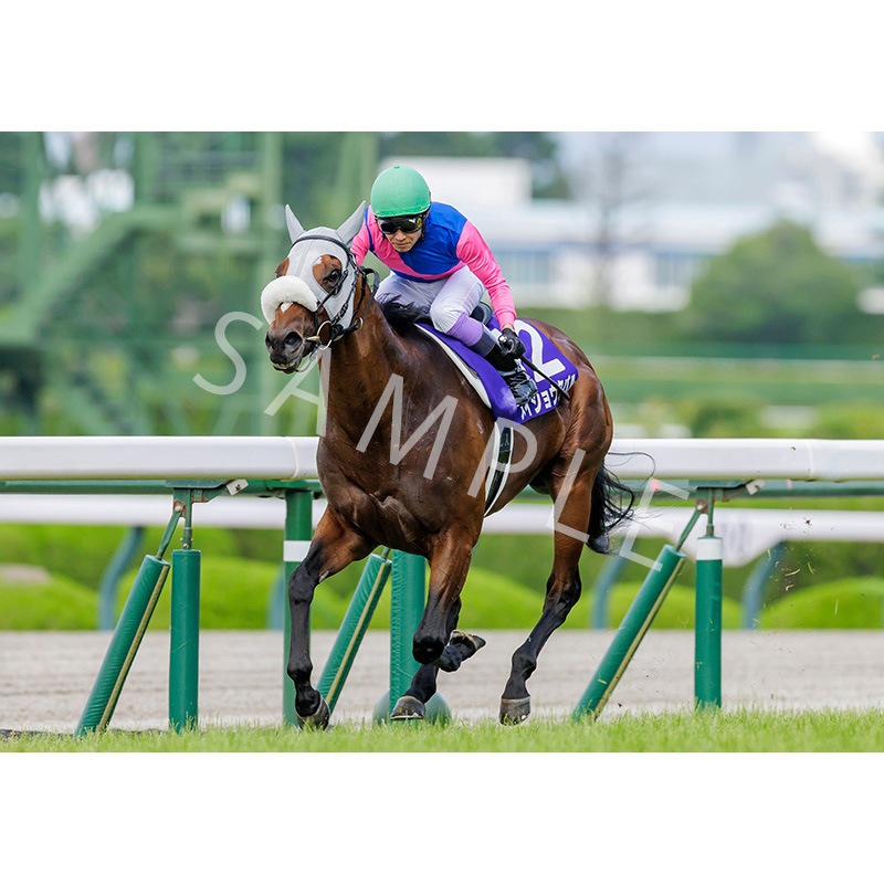 ǥѥͥ2025ȾGI ͵ǰڥᥤ祦Х