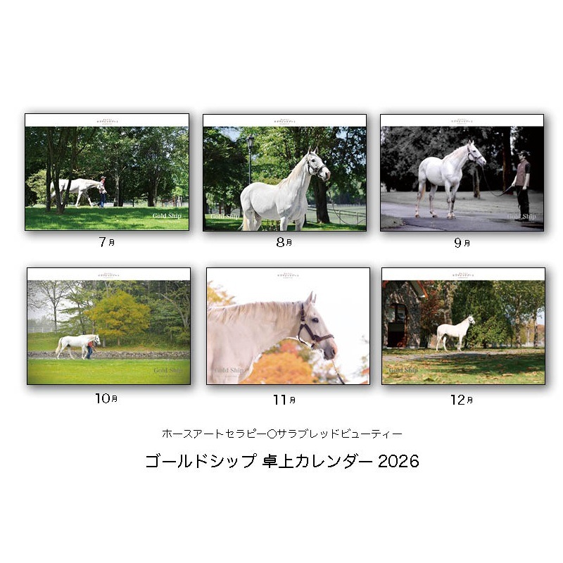 2026ǯ������ɥ��å���奫������