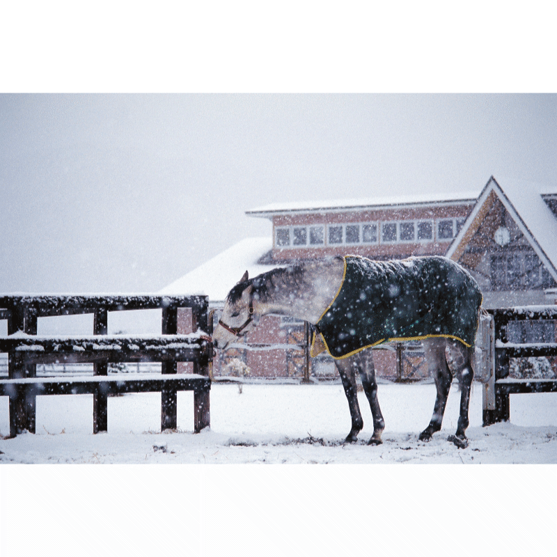 白の時間 復刻版 | カテゴリー一覧,書籍・写真・写真集 | ターフィー
