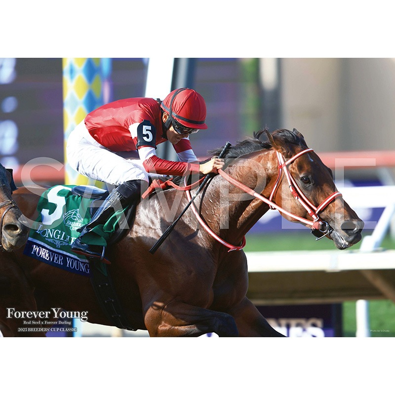 ��ͥ�١�2026.�����(No.987)