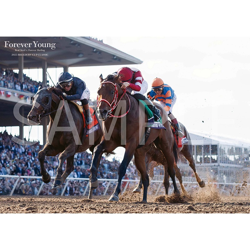 ��ͥ�١�2026.�����(No.987)