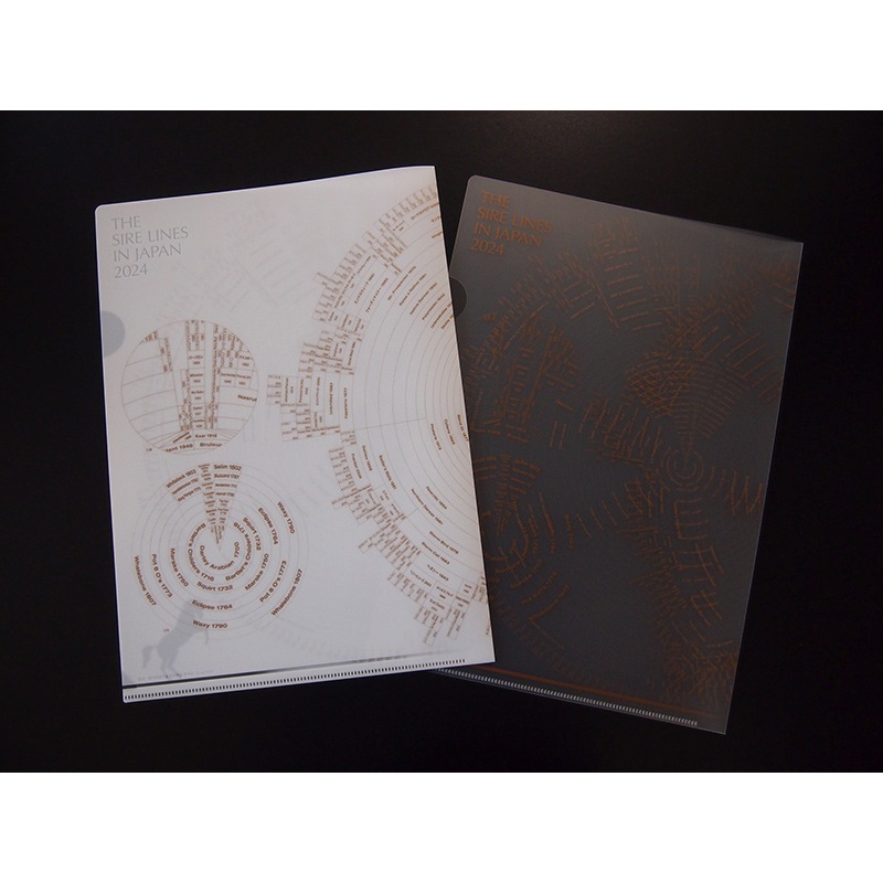 2024ǯ�� ���������饤��  ���ꥢ�ե������2���ȡ�