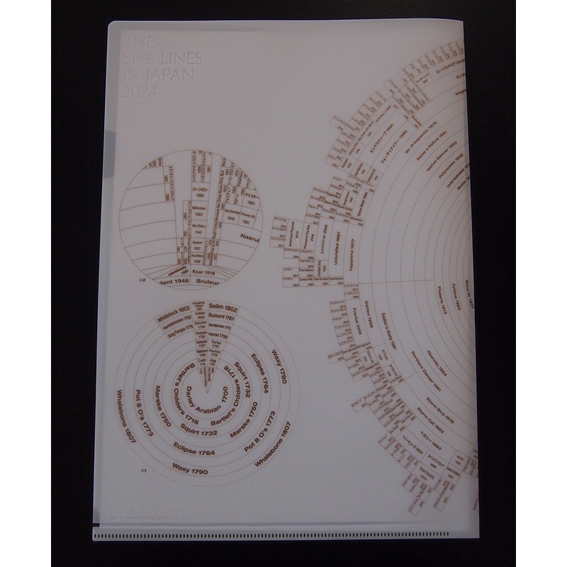 2024ǯ�� ���������饤��  ���ꥢ�ե������2���ȡ�