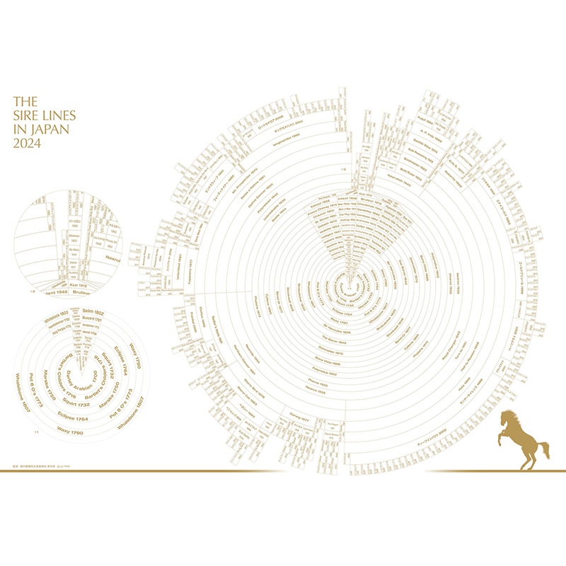 2024ǯ�� ���������饤��  ���ꥢ�ե������2���ȡ�