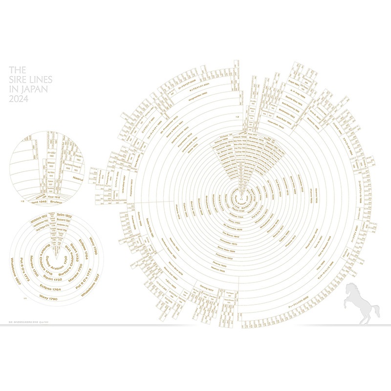 2024ǯ�� ���������饤��  ���ꥢ�ե������2���ȡ�