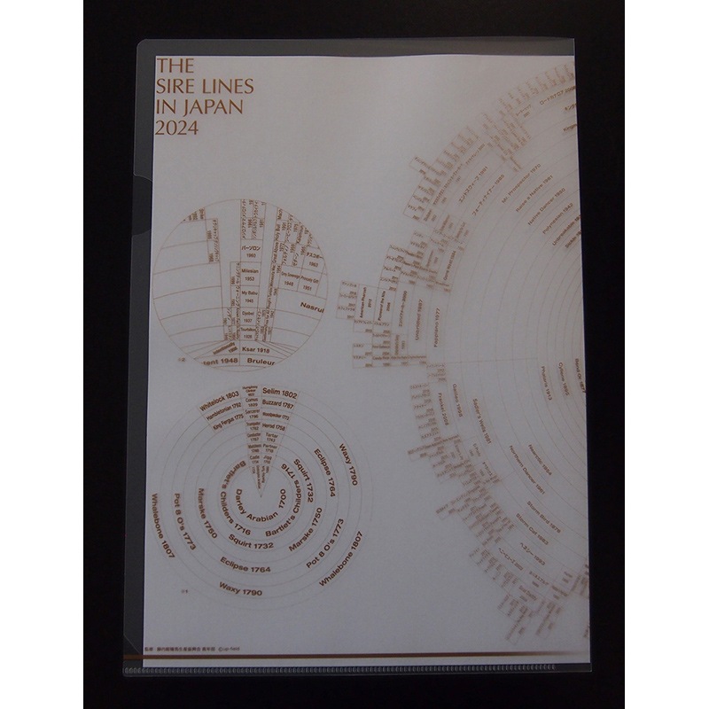 2024ǯ�� ���������饤��  ���ꥢ�ե������2���ȡ�