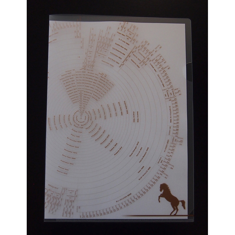 2024ǯ�� ���������饤��  ���ꥢ�ե������2���ȡ�