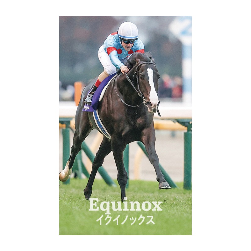 イクイノックス 想い出馬券ホルダー×5 敷け ストラップ×5 ボールペン×5