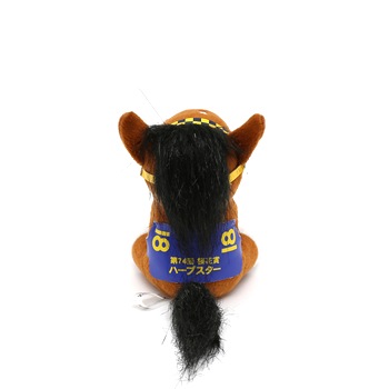 拡大イメージ表示