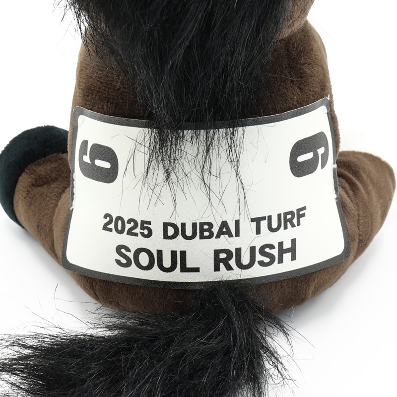 ɥۡڥå/'25ɥХա(M)