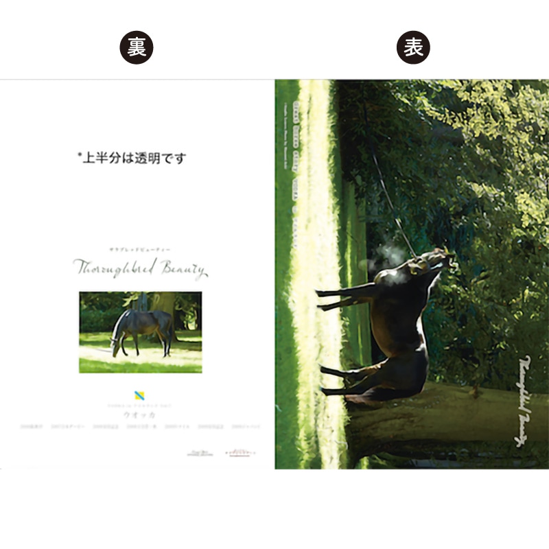 ̾�ϥ��ꥢ�ե����륻�åȡ�7���ȡ˥����å���������