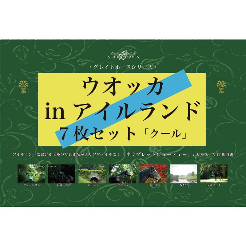 ̾�ϥ��ꥢ�ե����륻�åȡ�7���ȡ˥����å���������