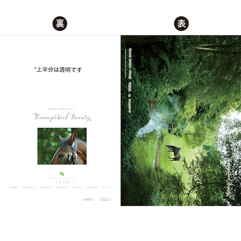 ̾�ϥ��ꥢ�ե����륻�åȡ�7���ȡ˥����å���������