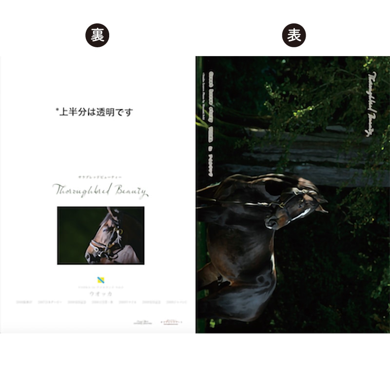 ̾�ϥ��ꥢ�ե����륻�åȡ�7���ȡ˥����å���������