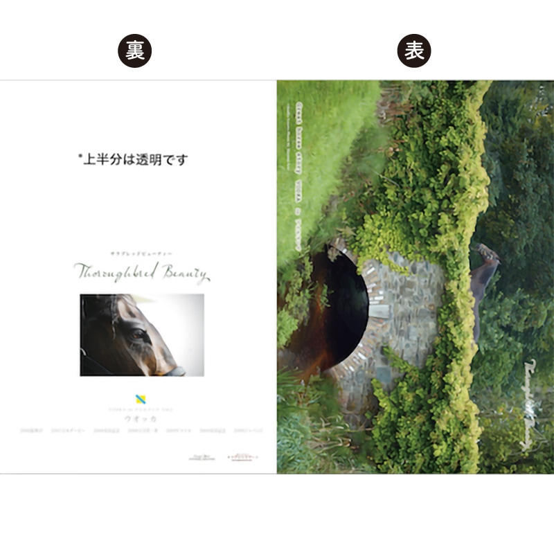 ̾�ϥ��ꥢ�ե����륻�åȡ�7���ȡ˥����å���������