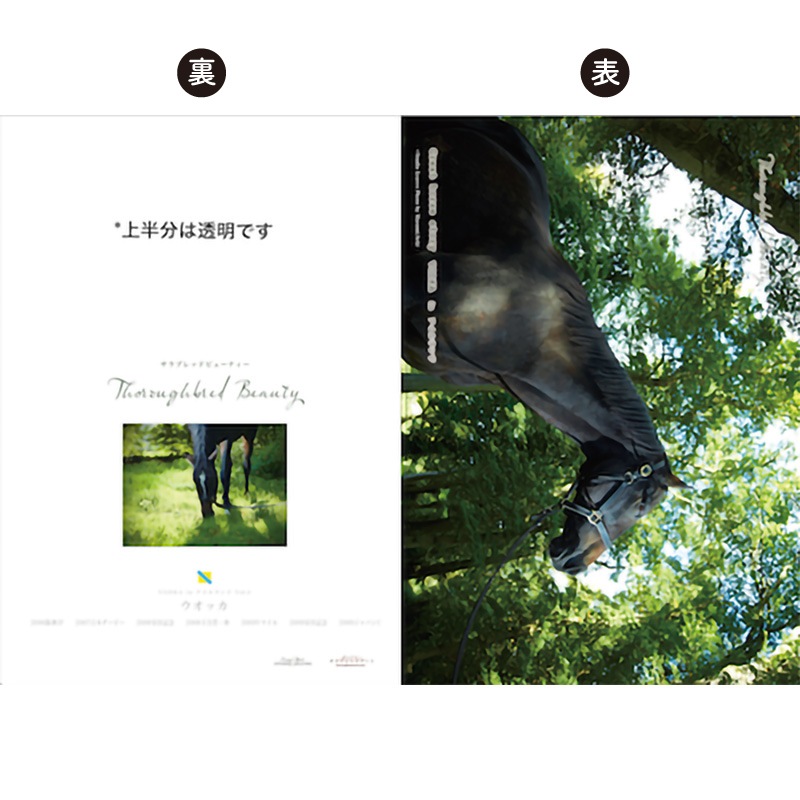 ̾�ϥ��ꥢ�ե����륻�åȡ�7���ȡ˥����å���������