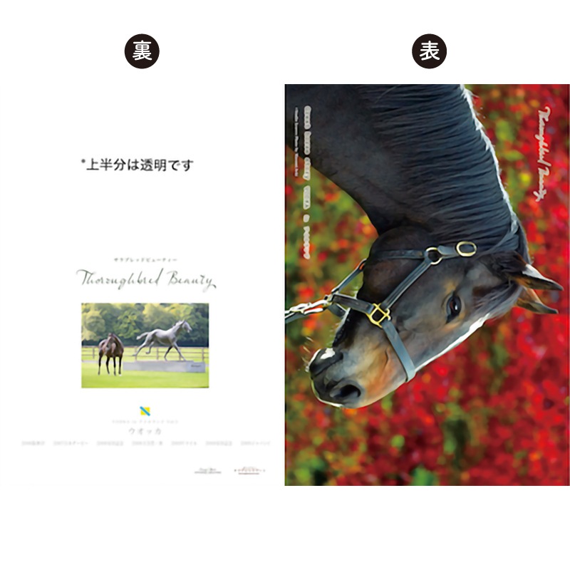 ̾�ϥ��ꥢ�ե����륻�åȡ�7���ȡ˥����å���������