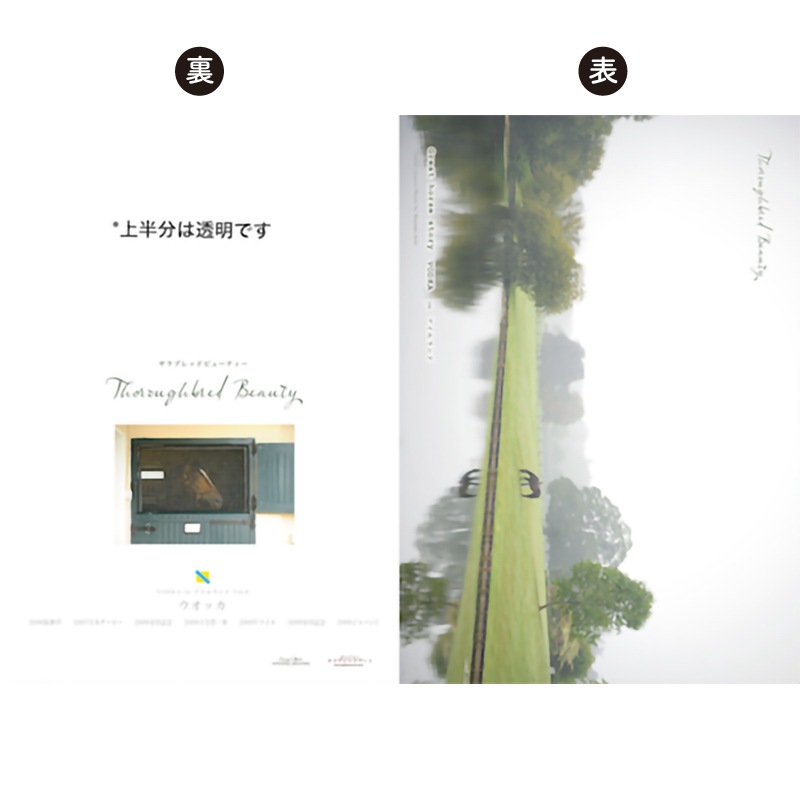 ̾�ϥ��ꥢ�ե����륻�åȡ�7���ȡ˥����å���������