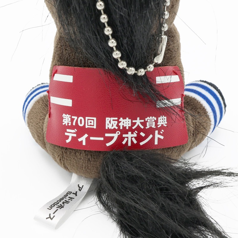 アイドルホース【ディープボンド/'22阪神大賞典】(Sサイズ