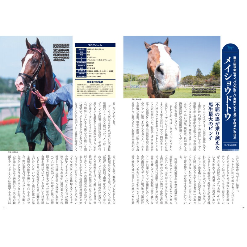 �⤦�ҤȤĤΰ���������