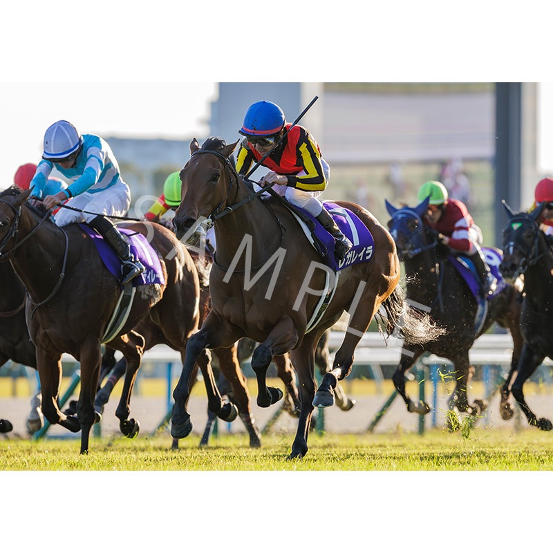 ��������ǥ��ѥͥ�2025��Ⱦ��GI ���ꥶ�٥������աڥ쥬�쥤���