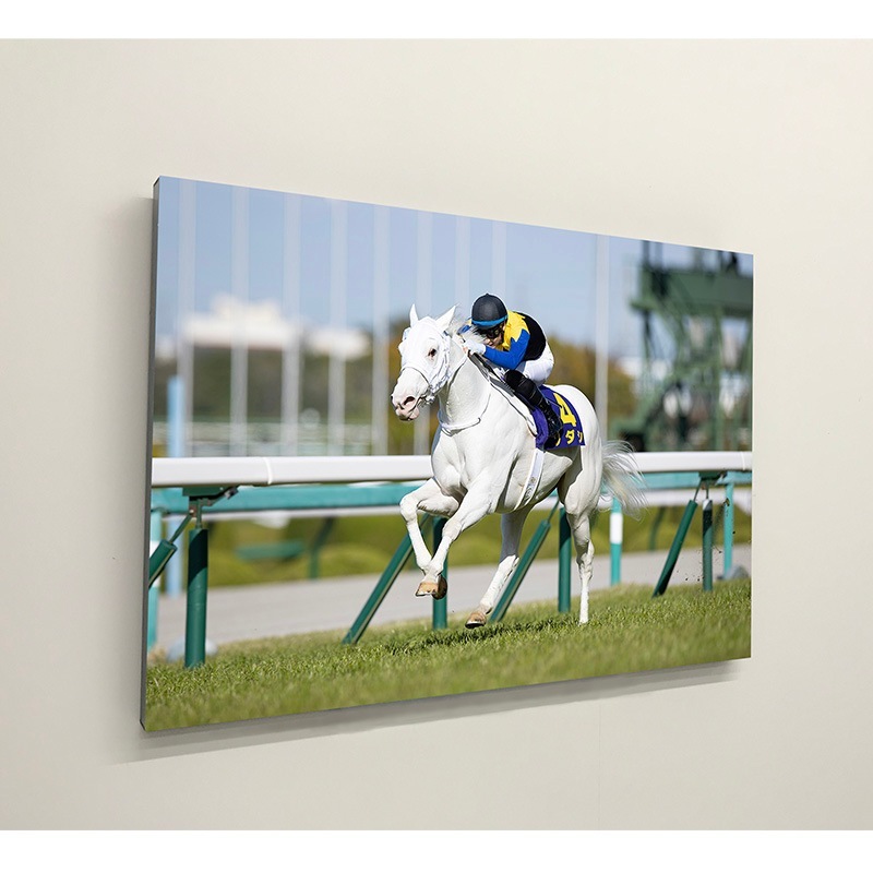 ��������ǥ��ѥͥ�2025��Ⱦ��GI ���ꥶ�٥������աڥ쥬�쥤���