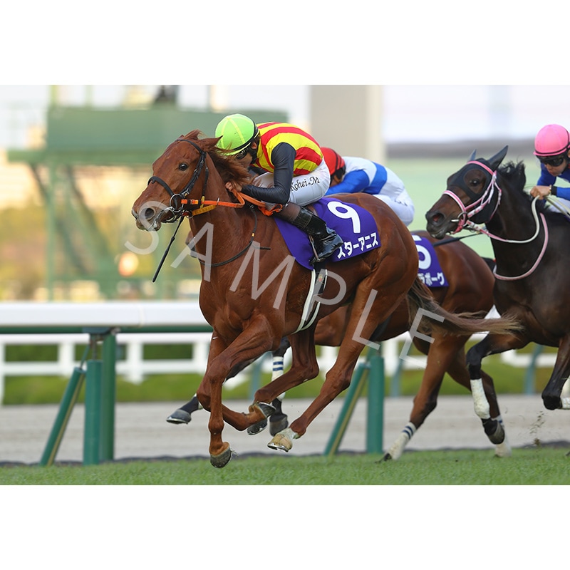 ��������ǥ��ѥͥ�2025��Ⱦ��GI �������٥ʥ���F�ڥ��������˥���