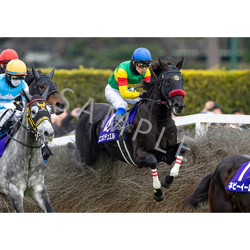 ��������ǥ��ѥͥ�2025��Ⱦ��GI �滳��㳲�ڥ������ǥ奨���