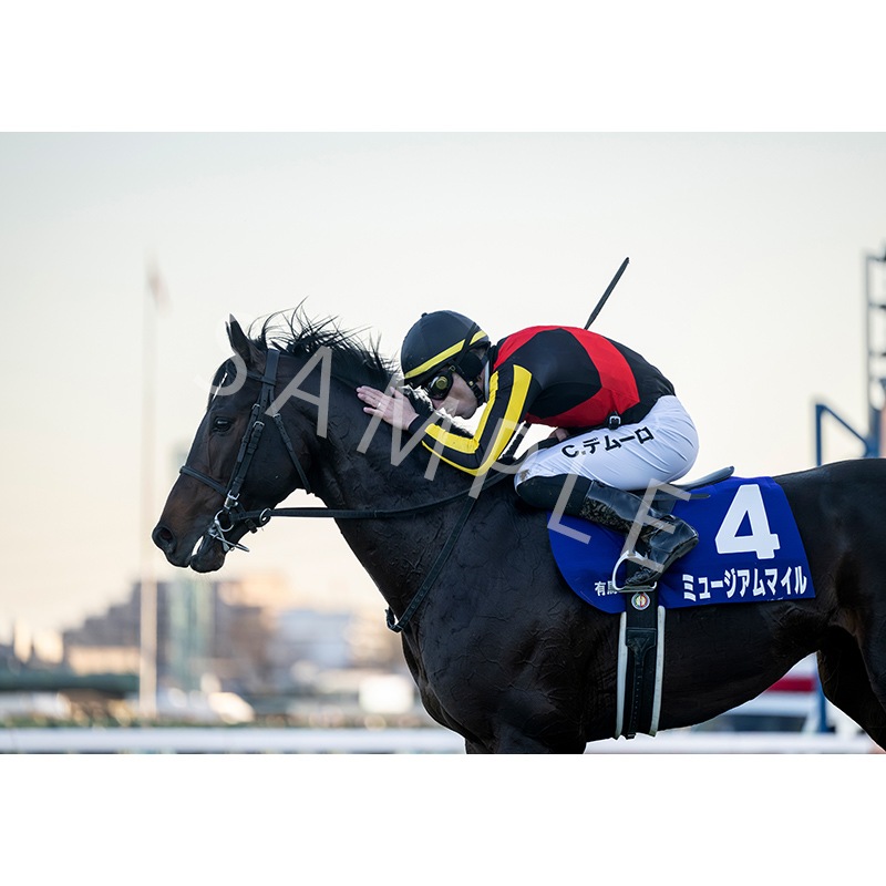 ��������ǥ��ѥͥ�2025��Ⱦ��GI ��EX��ͭ�ϵ�ǰ�ڥߥ塼������ޥ����