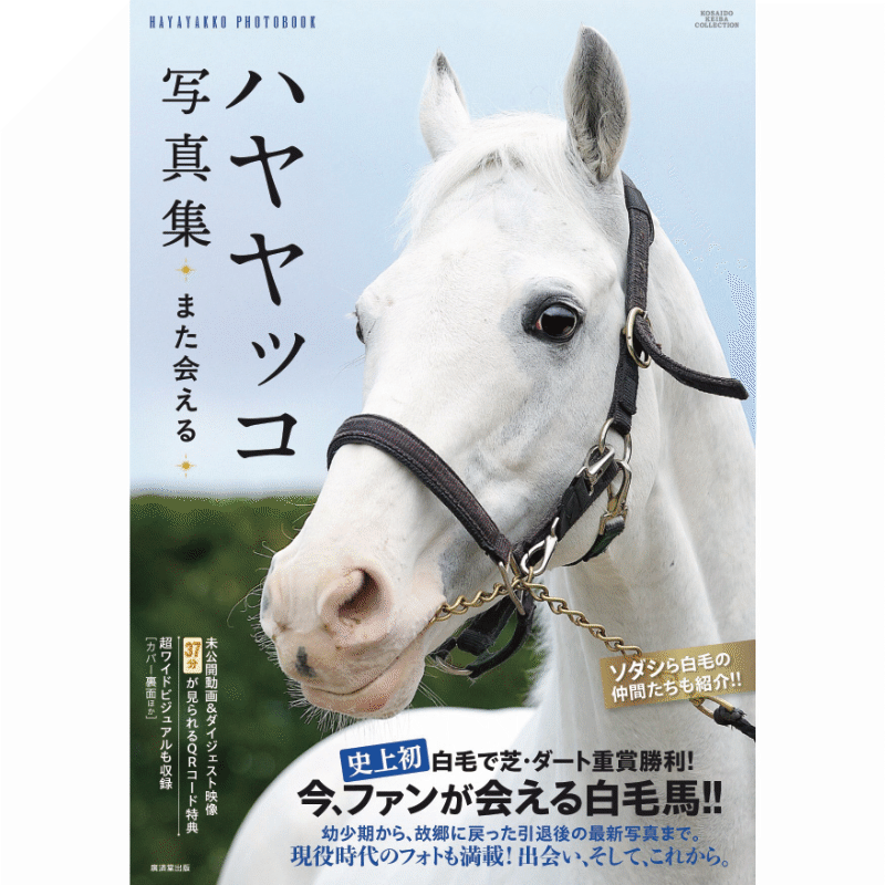 �ϥ��å��̿���