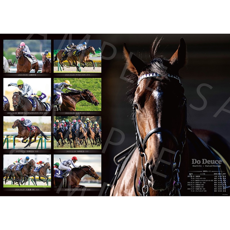 JRA　ターフヒーロー　優駿3月号増刊　1996-1999　全重賞カラーグラフ 月刊優駿3月号増刊 ターフヒーロー 1996-1999