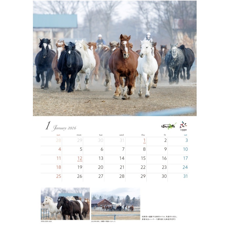 2026Ф󤨤ϥִ˾εס