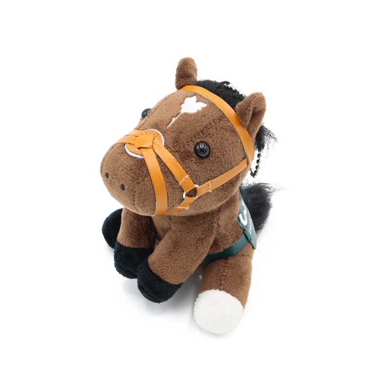 アイドルホース【タスティエーラ/'25クイーンエリザベス2世カップ】(S