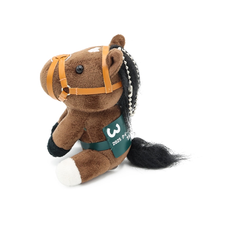 アイドルホース【タスティエーラ/'25クイーンエリザベス2世カップ】(S