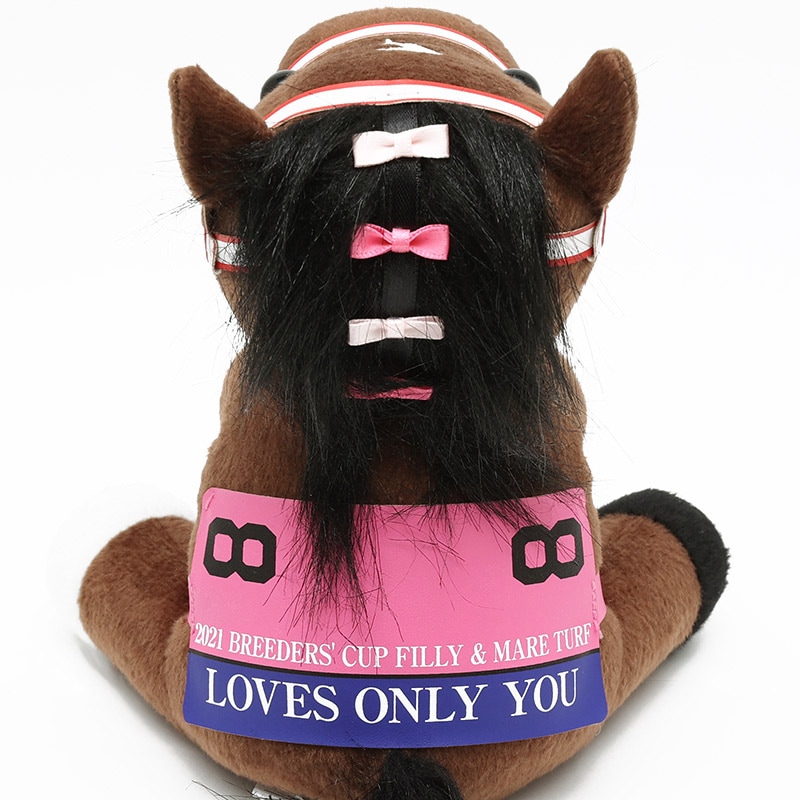 アイドルホース【ラヴズオンリーユー/'21BCフィリー&メアターフ】(S