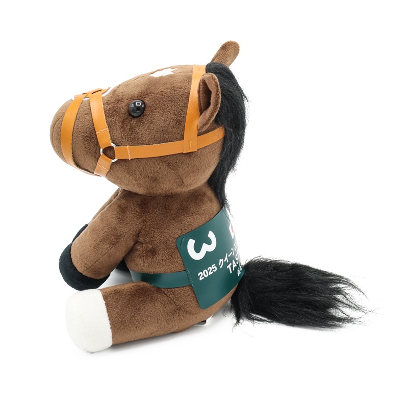 タスティエーラ アイドルホース クイーンエリザベスII世C アイドルホース【タスティエーラ/'25クイーンエリザベス2世カップ】(M