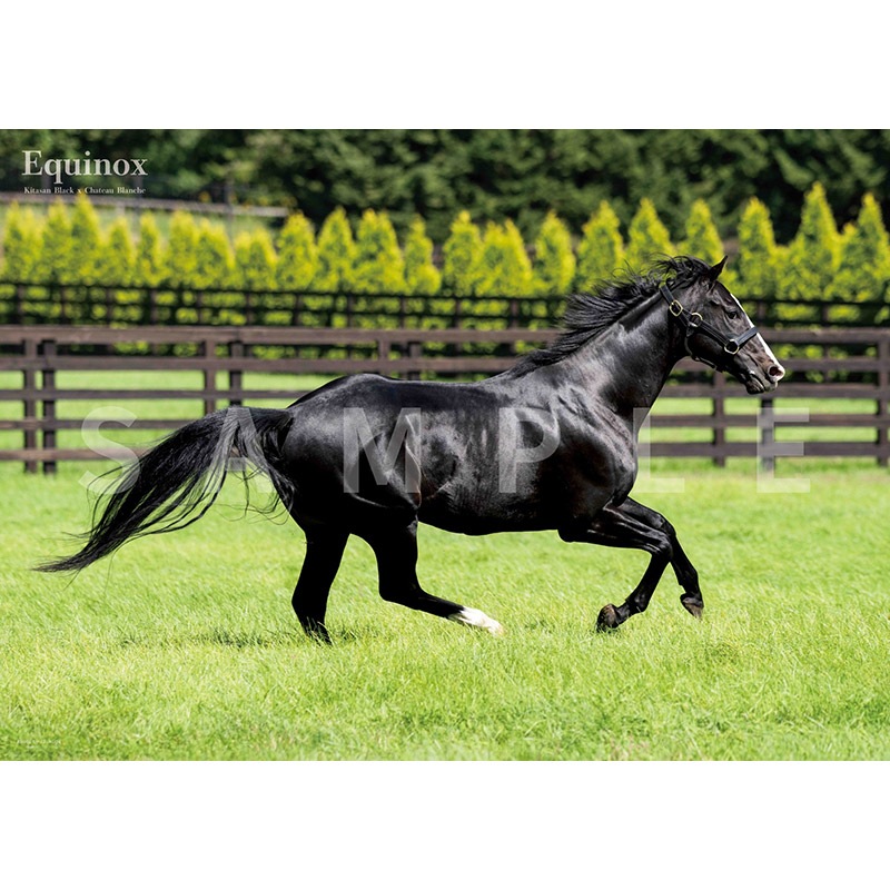 ��ͥ�١�2026.2���(No.986)