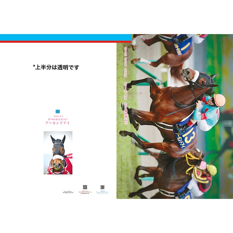 非売品エピファネイア ジャパンCポスター B1サイズ 競馬 ヒーロー
