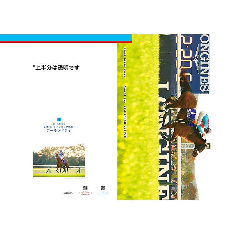 名馬クリアファイルセット（7枚組）アーモンドアイ | カテゴリー一覧