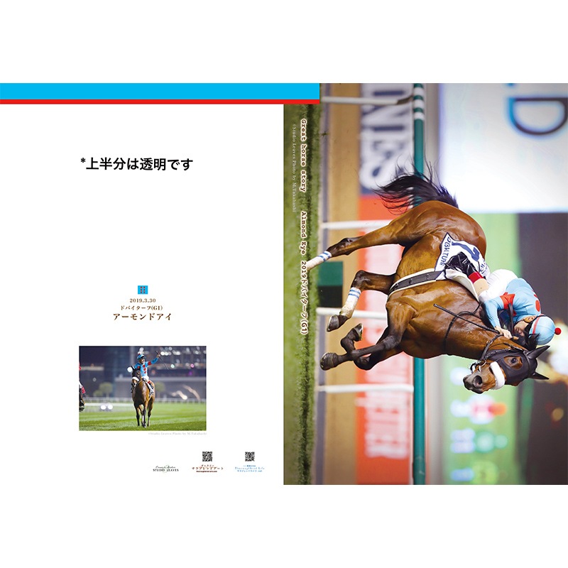 名馬クリアファイルセット（7枚組）アーモンドアイ | カテゴリー一覧