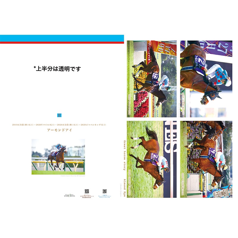 JRA 非売品 クリアファイル セット SHOCHIKU STORE | 松竹ストア爆弾 クリアファイルセット