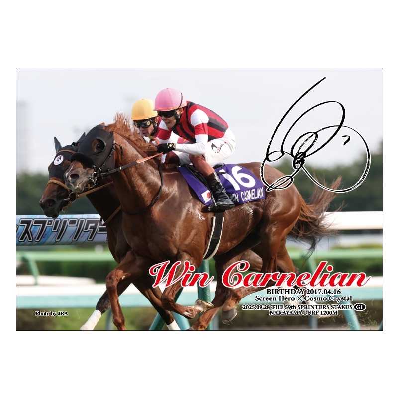 ホースジグソーパズル【ウインカーネリアン】 | カテゴリー一覧,雑貨