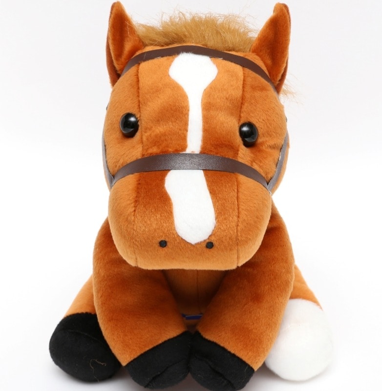 オルフェーヴル　有馬記念　現地的中　思い出馬券ホルダーセット　おまけ付き Amazon.co.jp: JRA 想い出馬券ホルダー オルフェーヴル 有馬記念